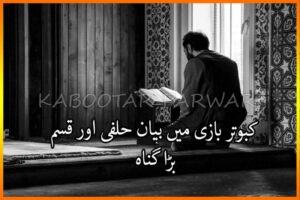 کبوتر بازی میں بیان حلفی کے قانون