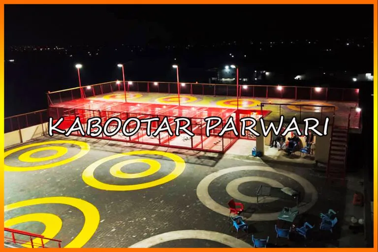 Kabootar Bazi in Pakistan