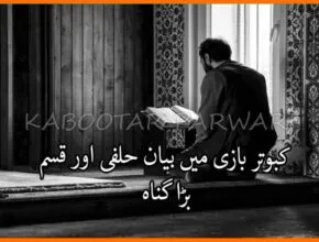 کبوتر بازی میں بیان حلفی اور قسم بڑا گناہ